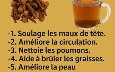 « Le thé aux clous de girofle : bienfaits, recettes et précautions »