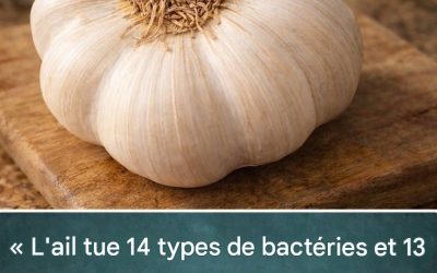 L’ail et l’immunité au quotidien : une habitude simple à ne pas négliger ?