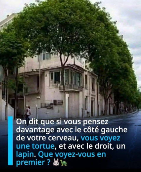 On dit que si vous pensez davantage avec le côté gauche de votre cerveau, vous voyez une tortue, et avec le droit, un lapin. Que voyez-vous en premier ? 🐰🐢