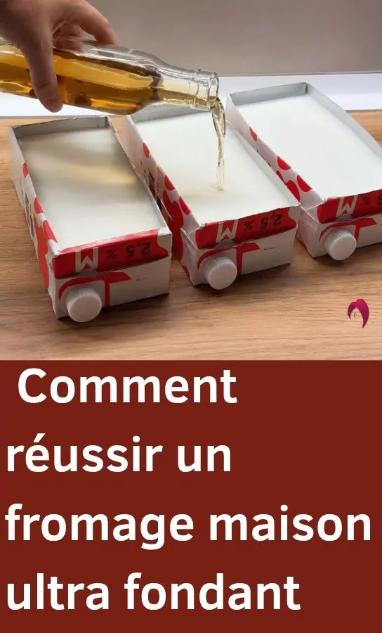Comment fabriquer facilement un délicieux fromage maison fondant