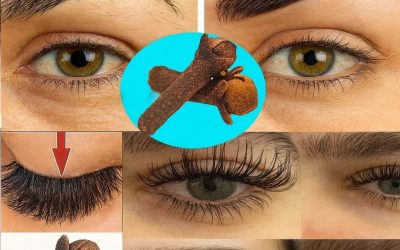 Clou de girofle : le secret naturel pour des sourcils et cils plus fournis en 7 jours