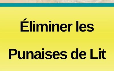 Comment eradiquer les punaises de lit avec de la terre de diatomée