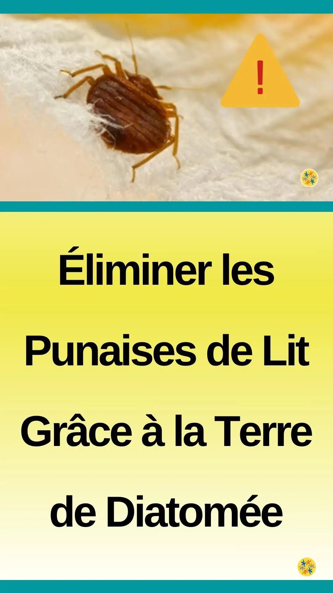 Comment eradiquer les punaises de lit avec de la terre de diatomée