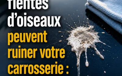 Comment enlever les fientes d’oiseaux sur une carrosserie sans l’abîmer