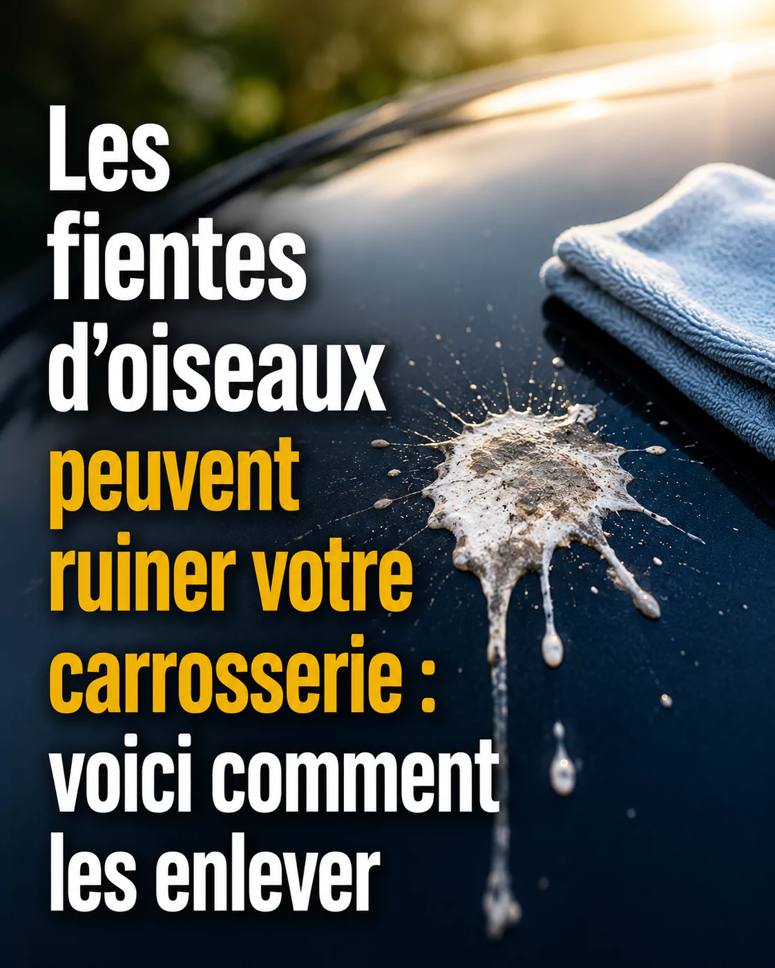 Comment enlever les fientes d’oiseaux sur une carrosserie sans l’abîmer