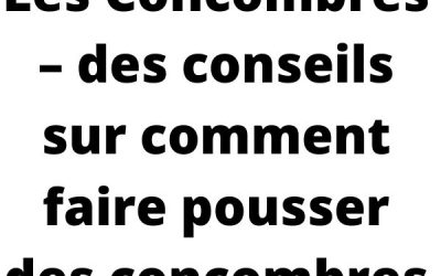 Comment cultiver des concombres croquants même dans de petits espaces