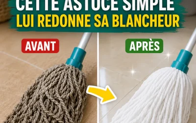 Vadrouille noircie ? Cette astuce simple lui redonne sa blancheur