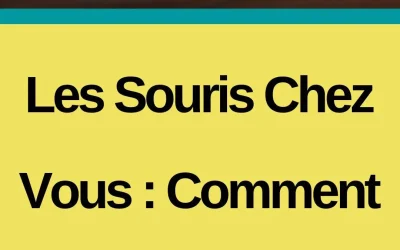 Souris Indésirables à la maison : Prévention et Solutions