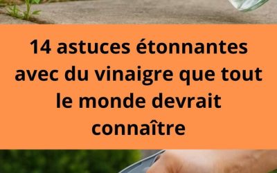 14 astuces étonnantes avec du vinaigre que tout le monde devrait connaître