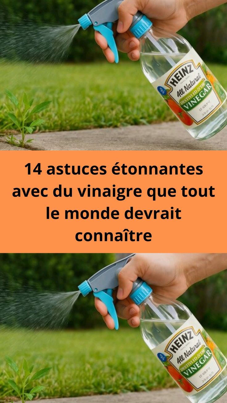 14 astuces étonnantes avec du vinaigre que tout le monde devrait connaître