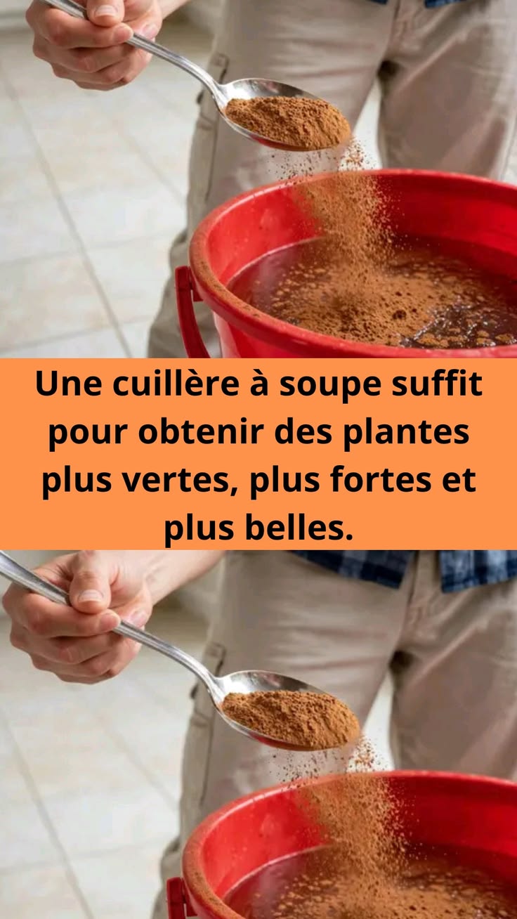 Une cuillère à soupe suffit pour obtenir des plantes plus vertes, plus fortes et plus belles.