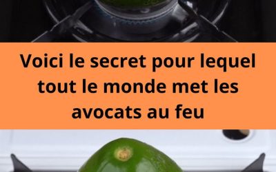 Voici le secret pour lequel tout le monde met les avocats au feu