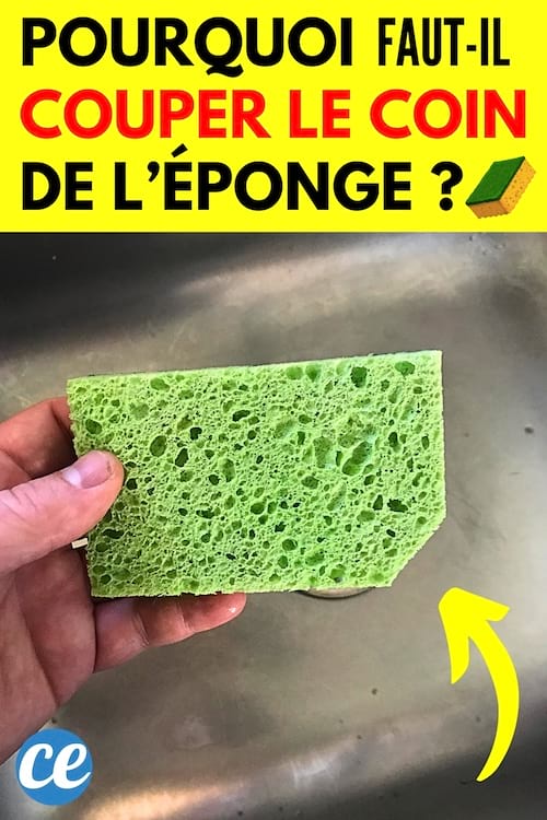 Pourquoi faut-il couper le coin d’une éponge ? L’astuce très pratique