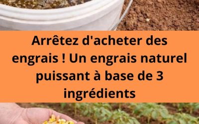 Arrêtez d’acheter des engrais ! Un engrais naturel puissant à base de 3 ingrédients