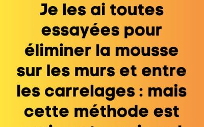 Je les ai toutes essayées pour éliminer la mousse sur les murs et entre les carrelages : mais cette méthode est vraiment magique !