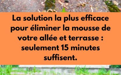 La solution la plus efficace pour éliminer la mousse de votre allée et terrasse : seulement 15 minut