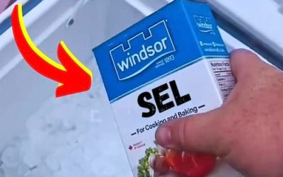 L’astuce pour garder votre glacière froide 2 fois plus longtemps  Découvrez l’astuce ici