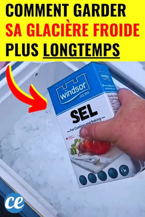 L’astuce pour garder votre glacière froide 2 fois plus longtemps  Découvrez l’astuce ici