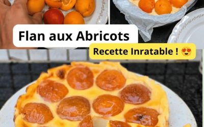 Flan Crémeux aux Abricots Caramélisés — Ultra Fondant, Fruité & Irrésistible !
