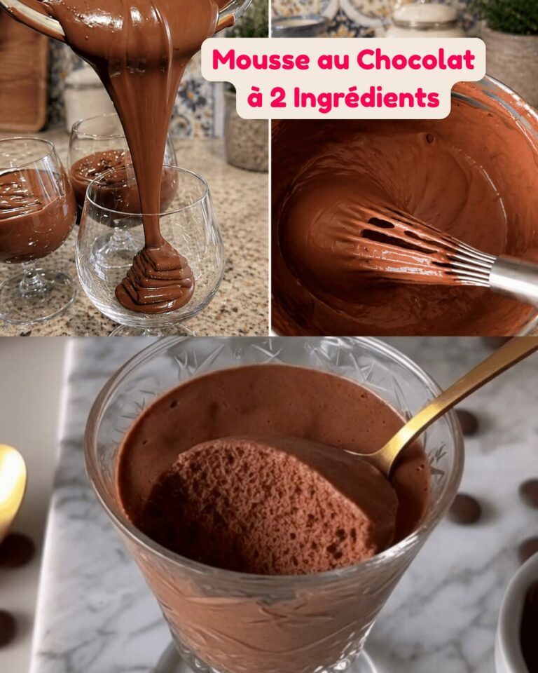Mousse au Chocolat à 2 Ingrédients (Ultra Facile & Incroyablement Aérienne)