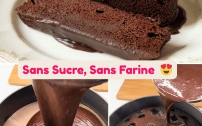 Gâteau au Chocolat en 5 Minutes (Sans Sucre, Sans Farine & Ultra Fondant)