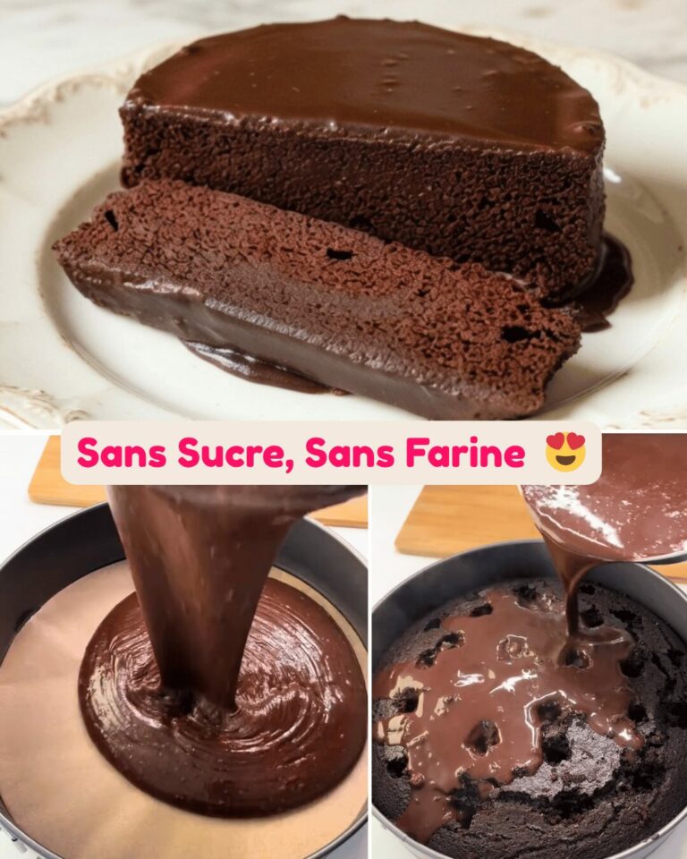 Gâteau au Chocolat en 5 Minutes (Sans Sucre, Sans Farine & Ultra Fondant)