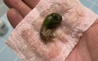 Elle découvre un objet mystérieux dans sa salle de bain : la vérité était sous son nez depuis le début
