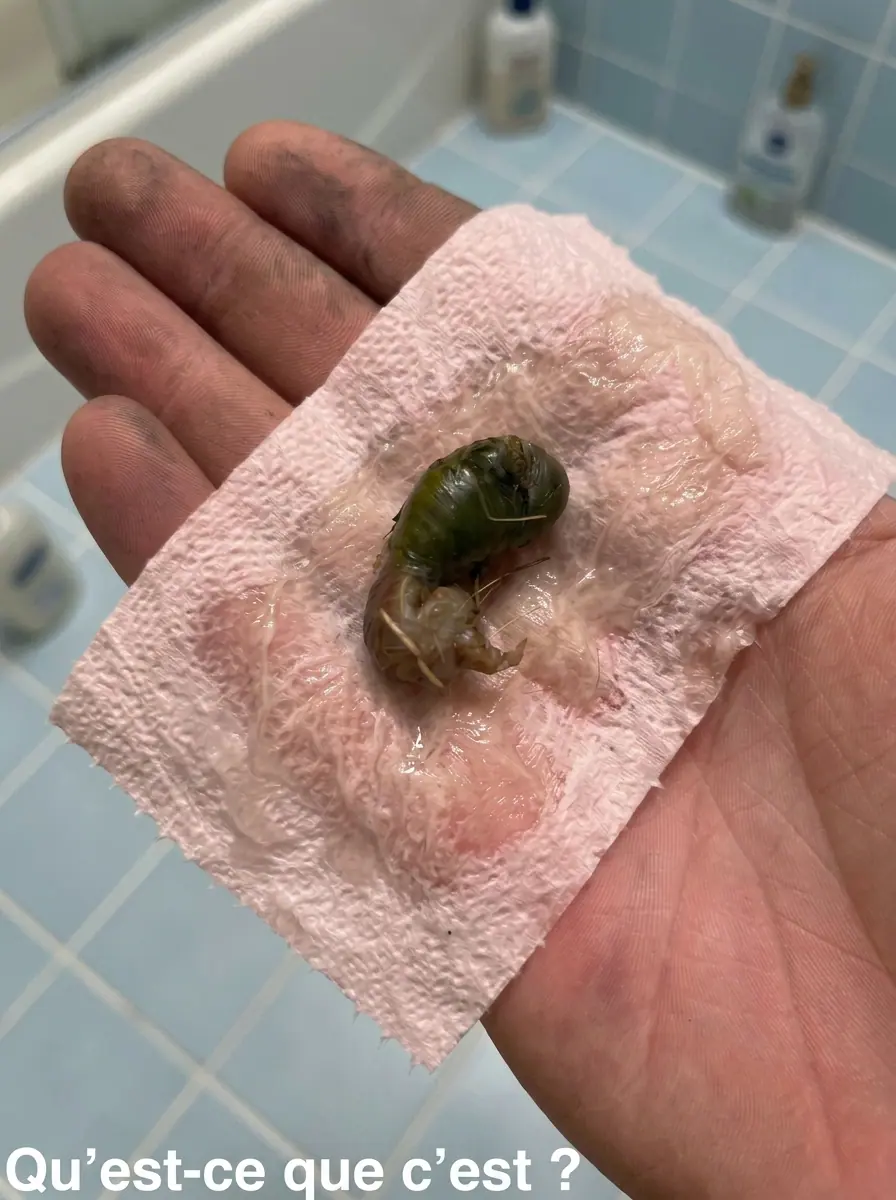 Elle découvre un objet mystérieux dans sa salle de bain : la vérité était sous son nez depuis le début