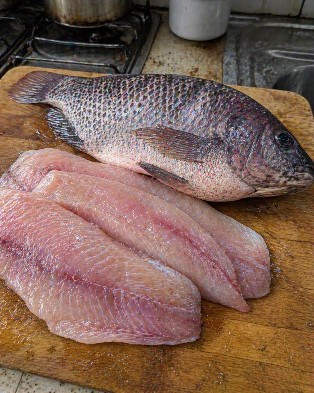 Tilapia : ce qu’il faut vraiment savoir avant d’en mettre dans son assiette
