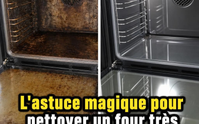 Vous avez nettoyé votre four de la mauvaise façon toute votre vie. C’est tellement brillant!
